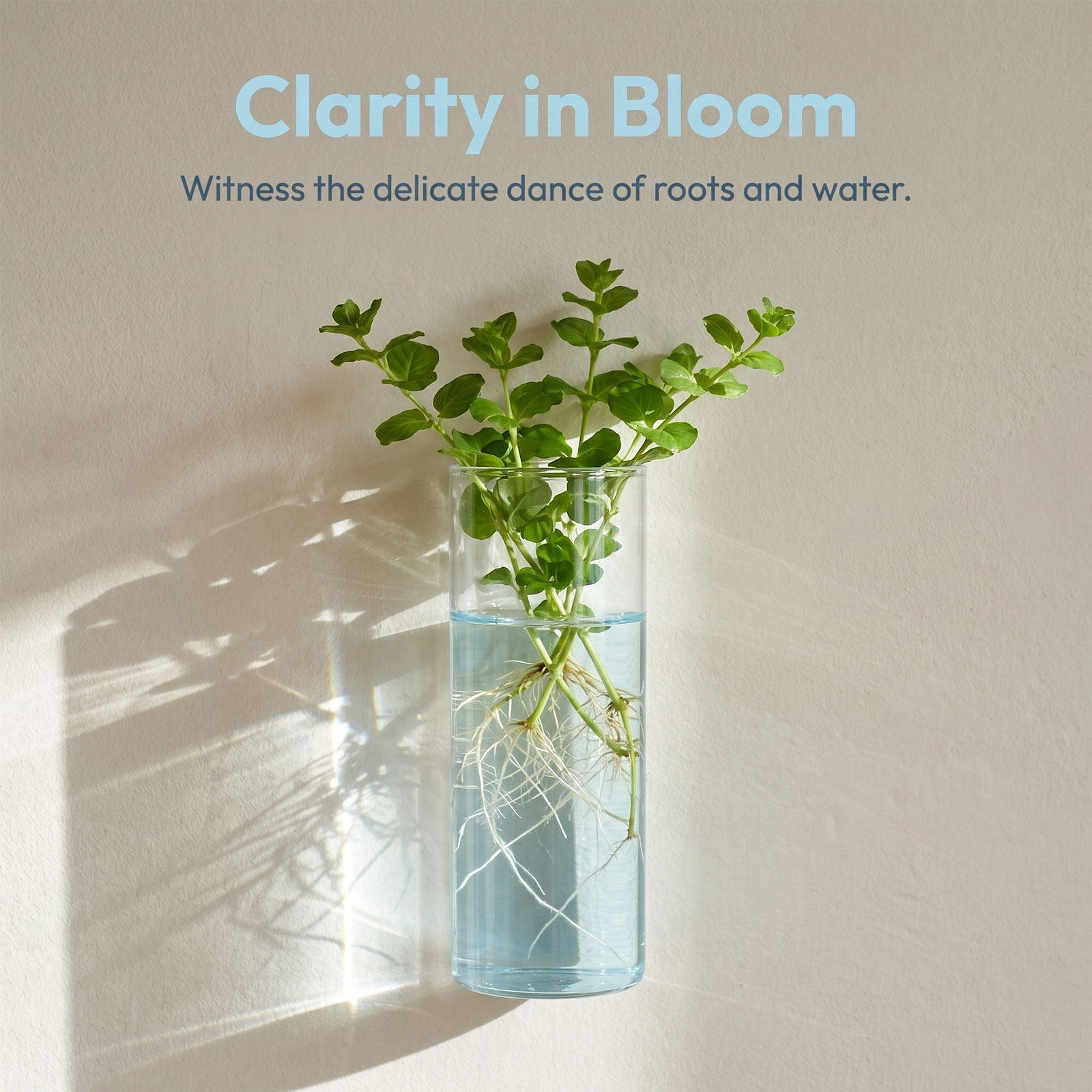 5Pcs Cylinder Glass Wall Vase  - Propagation Station Vase ulasan dan harga